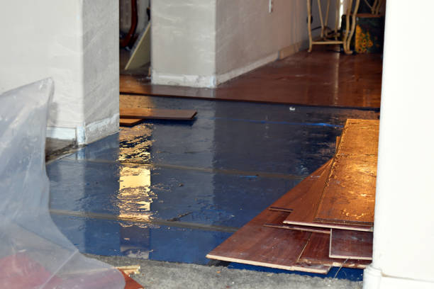 Professional Burst Pipe Cleanup technician working in Somerset, MA